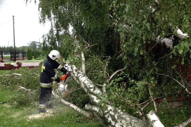 Usuwanie z jezdni powalonych drzew (zdjęcia)