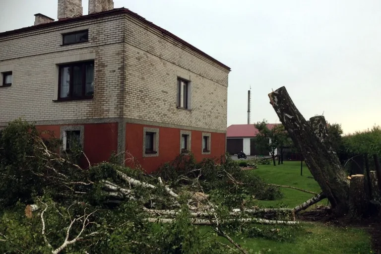 Usuwanie z jezdni powalonych drzew (zdjęcia)