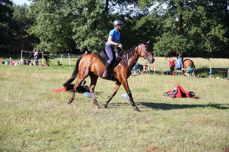 Sportowe Rajdy Konne w Szarłacie (zdjęcia, wideo)