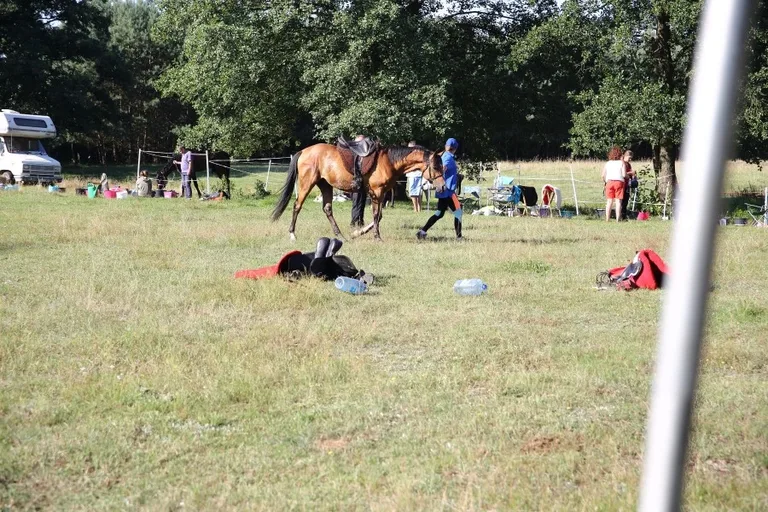 Sportowe Rajdy Konne w Szarłacie (zdjęcia, wideo)