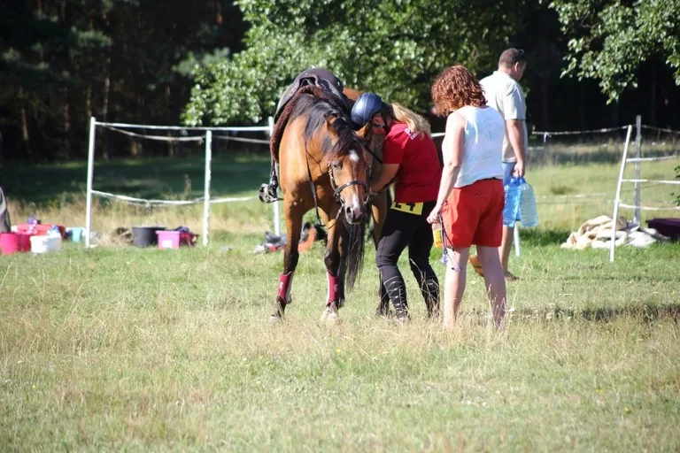 Sportowe Rajdy Konne w Szarłacie (zdjęcia, wideo)