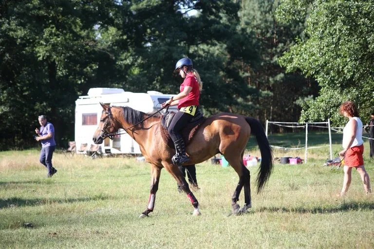 Sportowe Rajdy Konne w Szarłacie (zdjęcia, wideo)