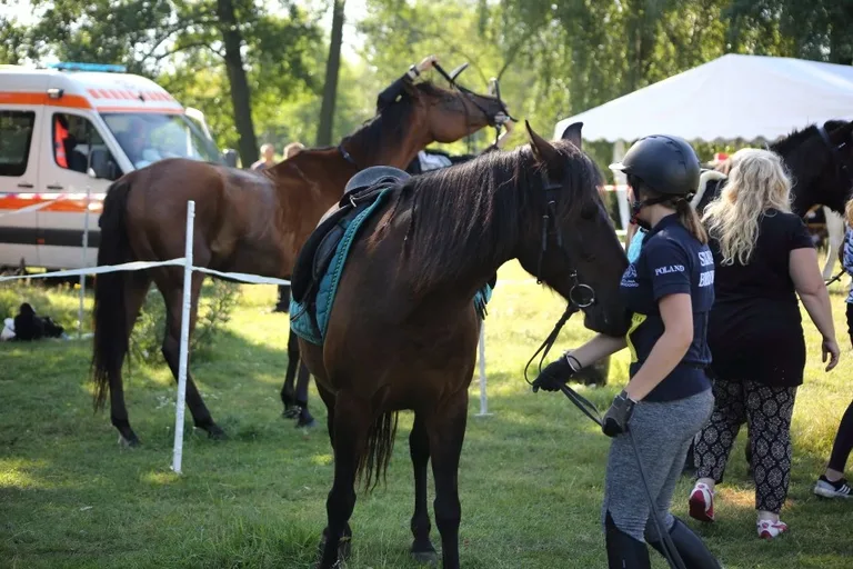 Sportowe Rajdy Konne w Szarłacie (zdjęcia, wideo)