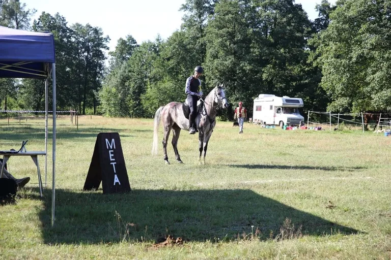 Sportowe Rajdy Konne w Szarłacie (zdjęcia, wideo)