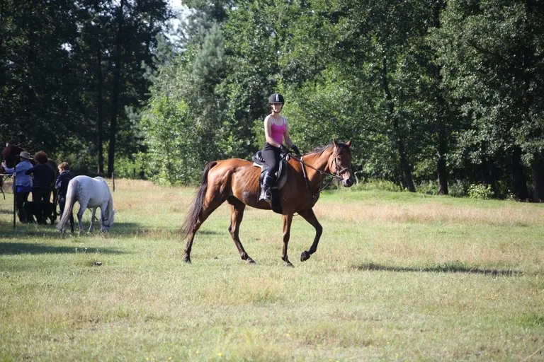 Sportowe Rajdy Konne w Szarłacie (zdjęcia, wideo)