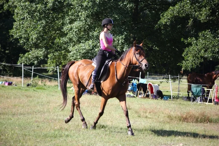Sportowe Rajdy Konne w Szarłacie (zdjęcia, wideo)