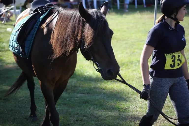Sportowe Rajdy Konne w Szarłacie (zdjęcia, wideo)