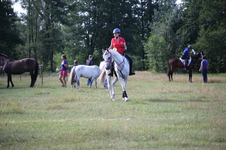 Sportowe Rajdy Konne w Szarłacie (zdjęcia, wideo)