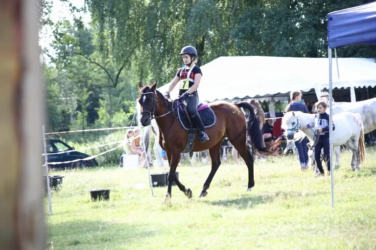Sportowe Rajdy Konne w Szarłacie (zdjęcia, wideo)