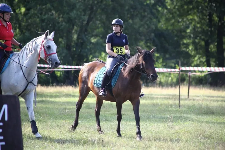 Sportowe Rajdy Konne w Szarłacie (zdjęcia, wideo)