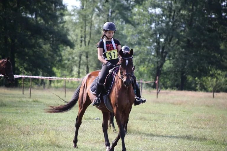 Sportowe Rajdy Konne w Szarłacie (zdjęcia, wideo)