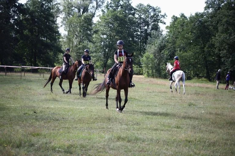 Sportowe Rajdy Konne w Szarłacie (zdjęcia, wideo)