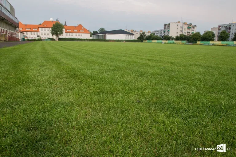 Murawa przy Warchalskiego już po renowacji (zdjęcia)