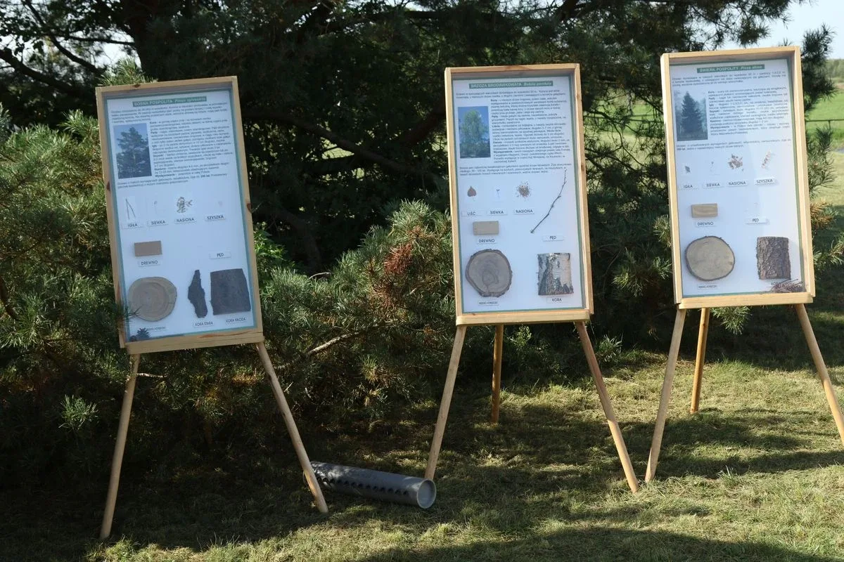 Wielkie ściganie na czas w Serafinie (zdjęcia, wideo)