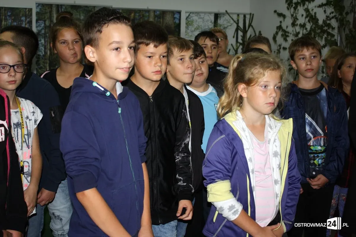 Wystawa grzybów już dostępna (zdjęcia)
