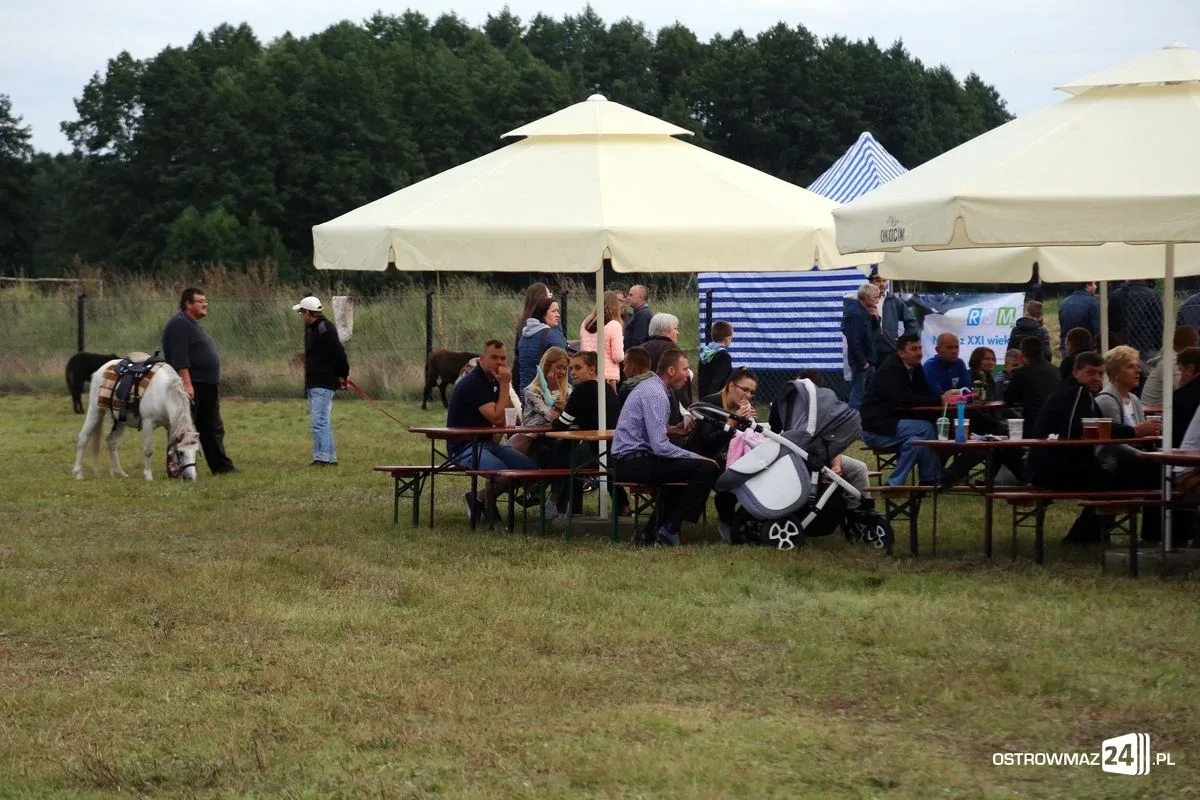 Zabawa podczas Jarmarków Czerwińskich i Dni Kukurydzy (zdjęcia, wideo)