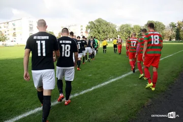 Następne zdjęcie