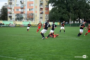 Poprzednie zdjęcie