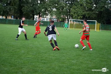 Następne zdjęcie