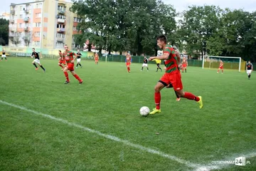 Następne zdjęcie