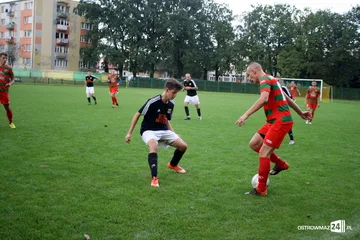 Następne zdjęcie