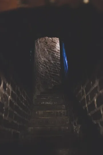 Poprzednie zdjęcie