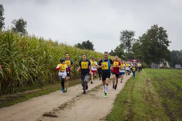 Poprzednie zdjęcie
