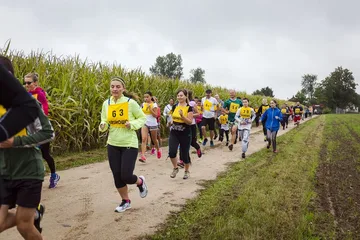 Poprzednie zdjęcie