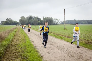 Następne zdjęcie