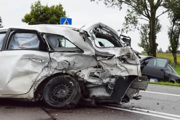 Poprzednie zdjęcie