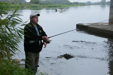 Następne zdjęcie