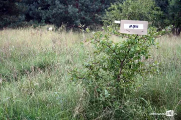 Poprzednie zdjęcie