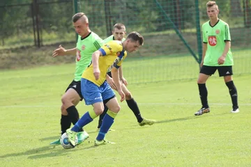Następne zdjęcie
