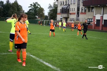 Poprzednie zdjęcie