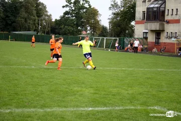 Następne zdjęcie