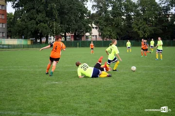 Poprzednie zdjęcie