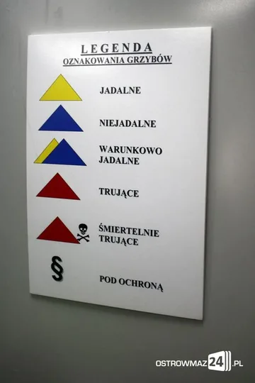 Następne zdjęcie