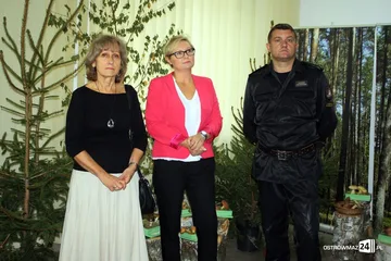 Poprzednie zdjęcie