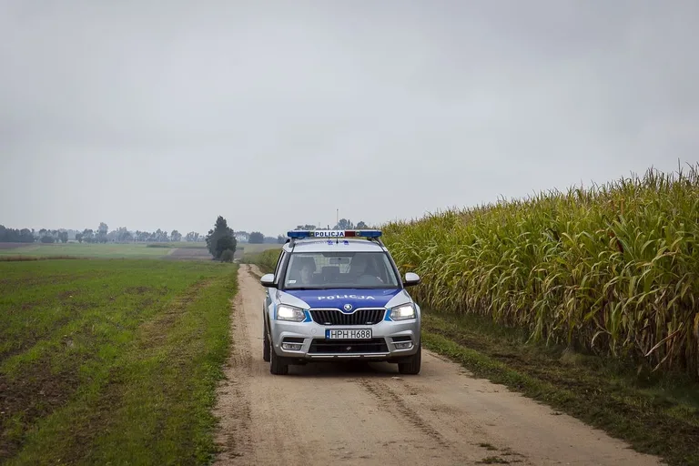 Masowy bieg śladami bitwy pod Łętownicą i Andrzejewem (zdjęcia)
