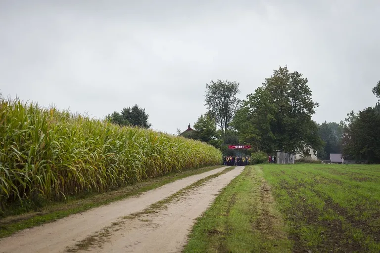Masowy bieg śladami bitwy pod Łętownicą i Andrzejewem (zdjęcia)