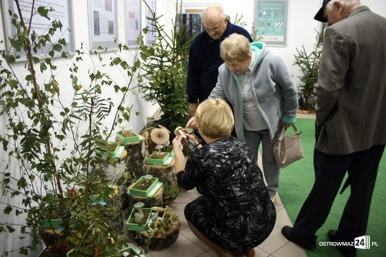 Wystawa grzybów już dostępna (zdjęcia)
