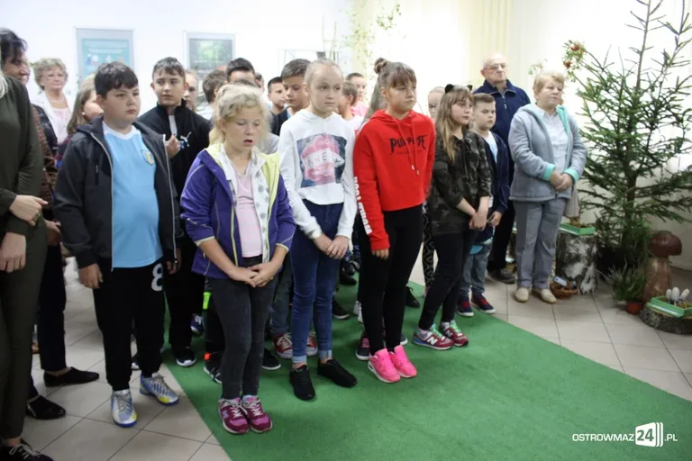 Wystawa grzybów już dostępna (zdjęcia)