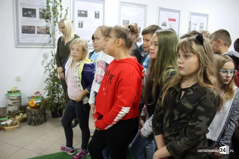 Wystawa grzybów już dostępna (zdjęcia)
