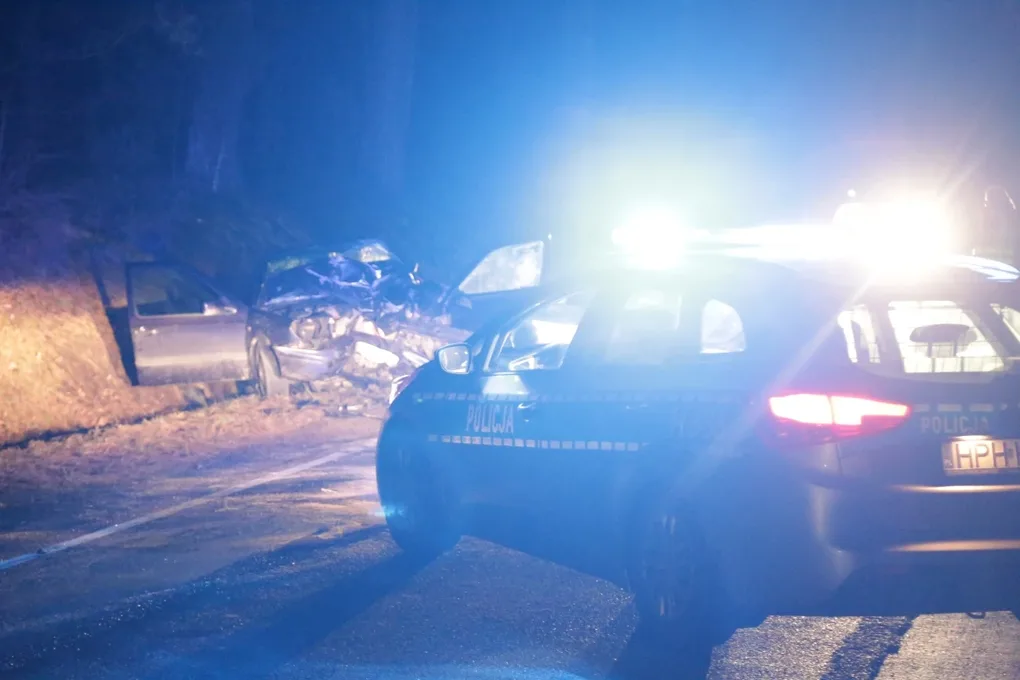 Wypadek w Niegowcu - 9 osób rannych (aktualizacja, zdjęcia)