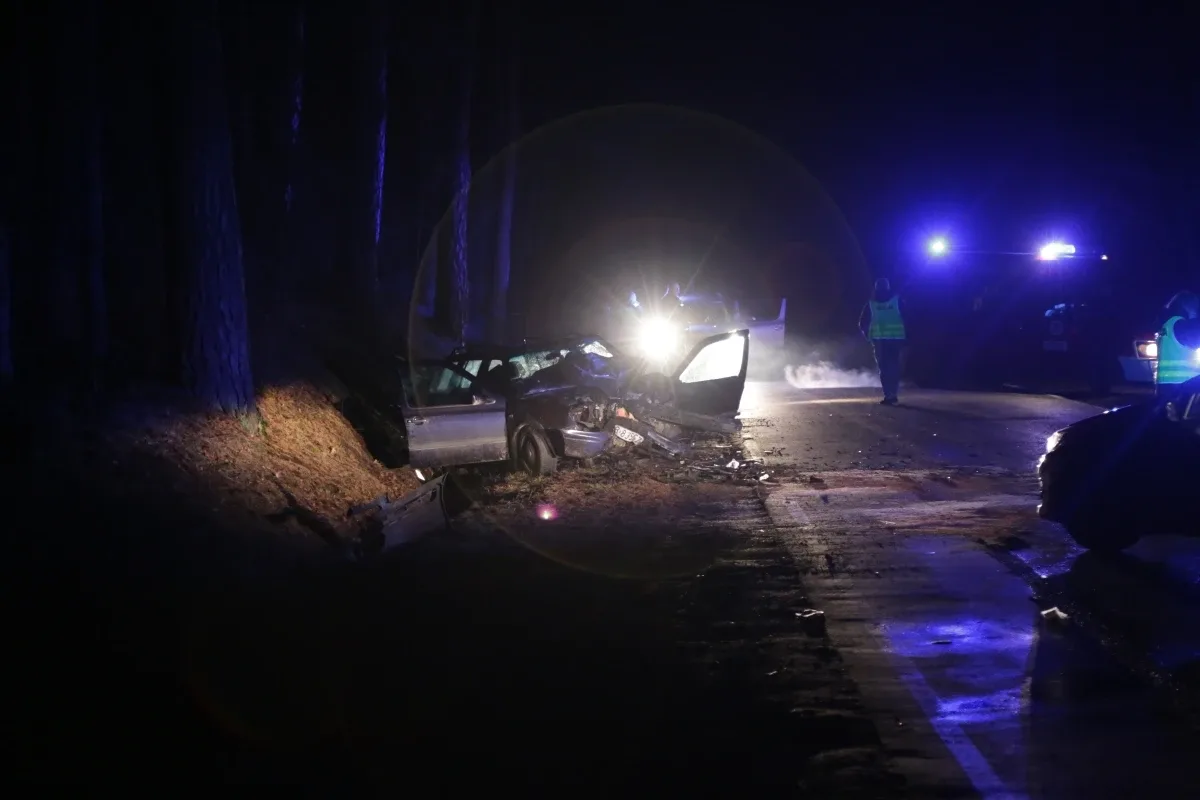 Wypadek w Niegowcu - 9 osób rannych (aktualizacja, zdjęcia)
