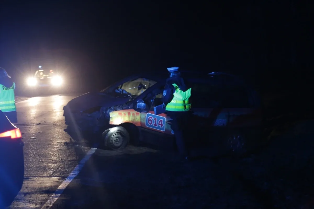 Wypadek w Niegowcu - 9 osób rannych (aktualizacja, zdjęcia)