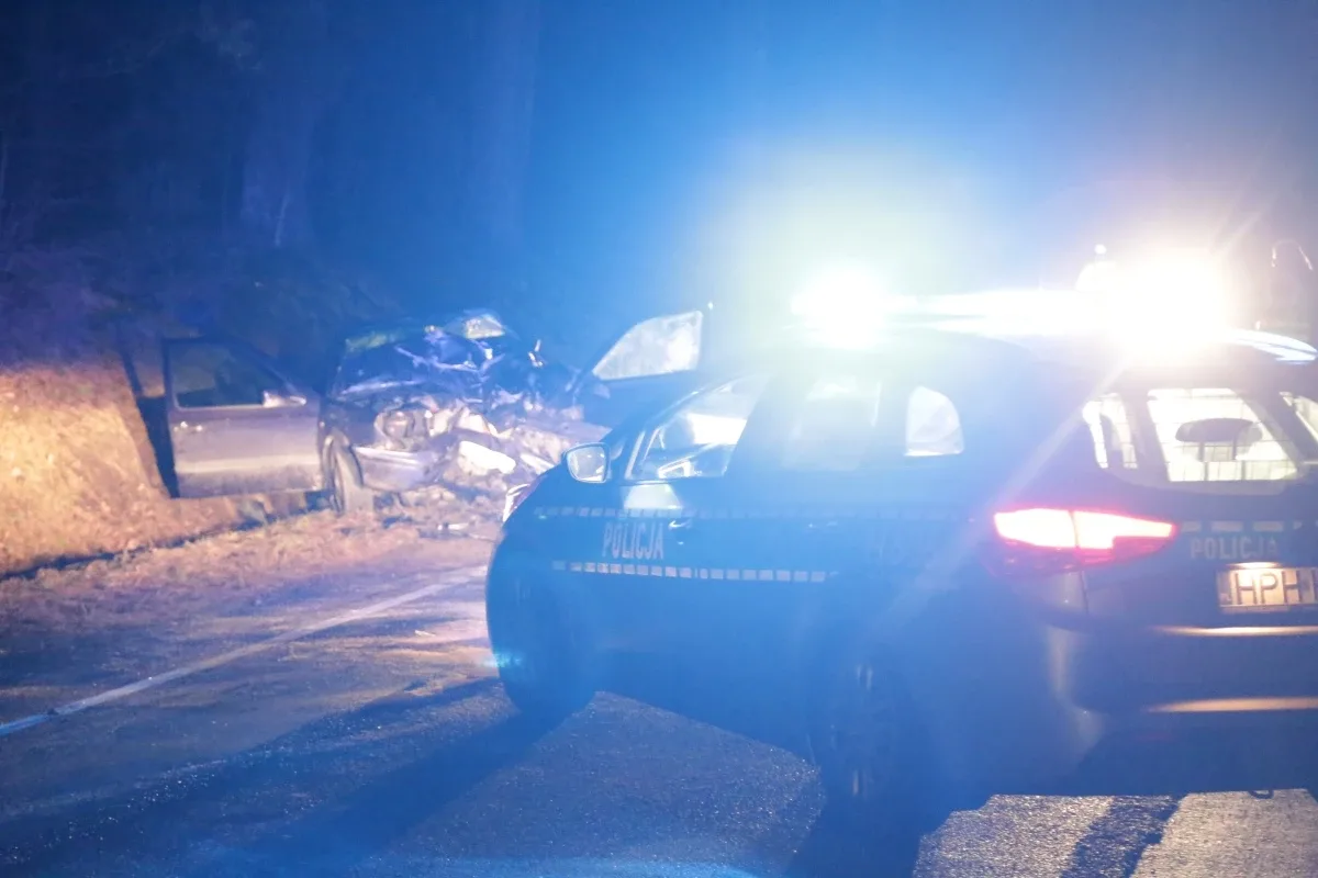 Wypadek w Niegowcu - 9 osób rannych (aktualizacja, zdjęcia)