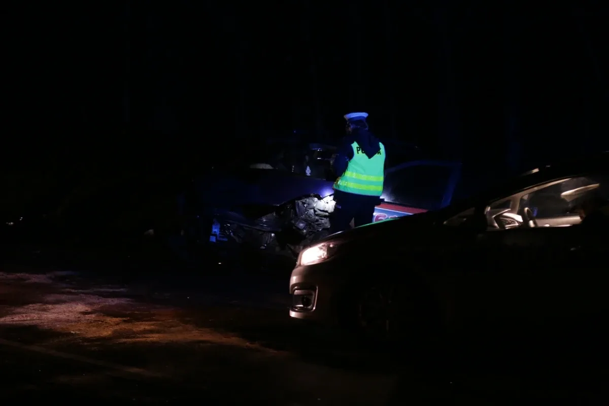 Wypadek w Niegowcu - 9 osób rannych (aktualizacja, zdjęcia)