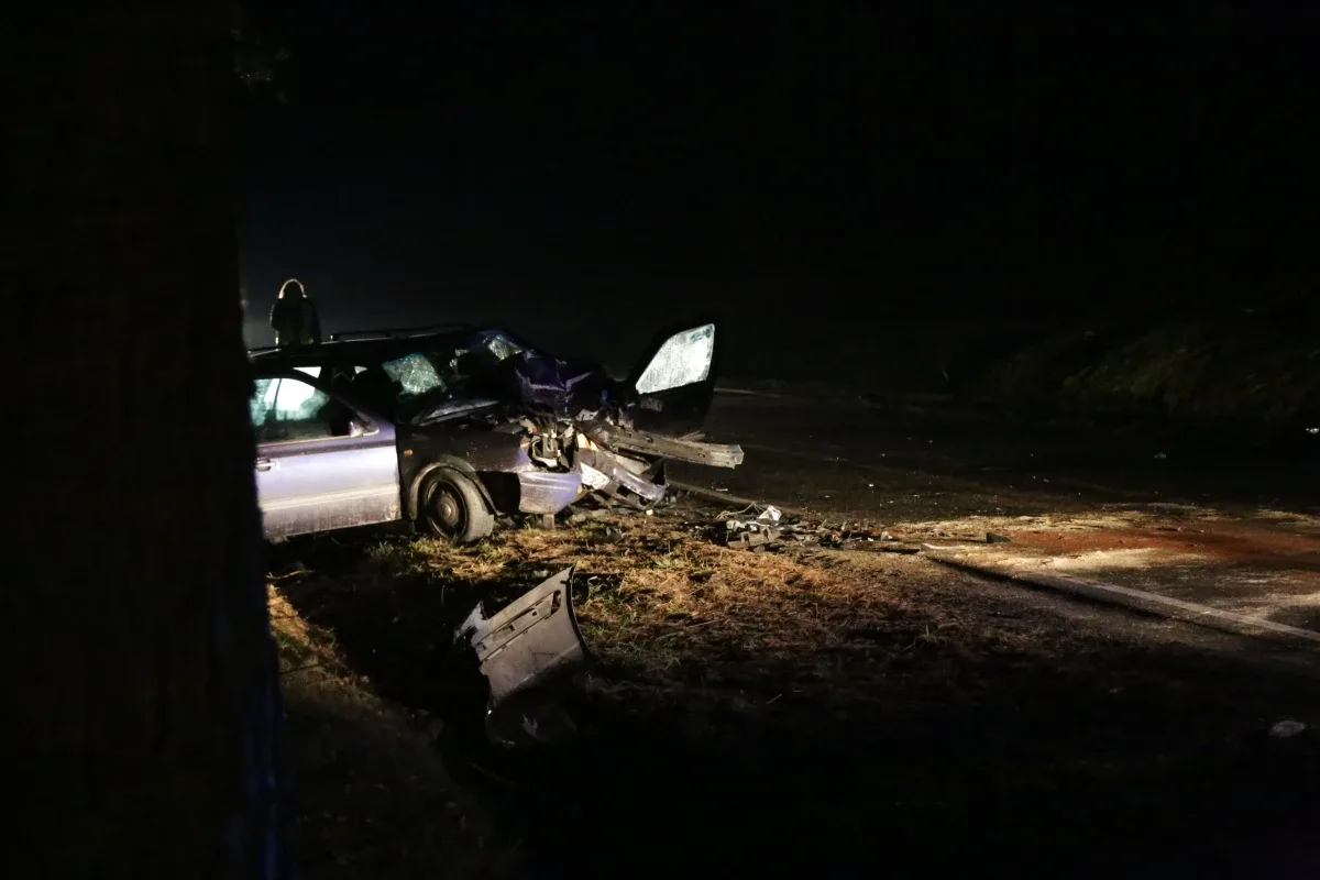 Wypadek w Niegowcu - 9 osób rannych (aktualizacja, zdjęcia)