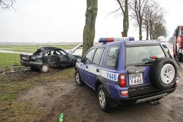 26-latek z powiatu ostrowskiego zakończył jazdę na drzewie (zdjęcia)